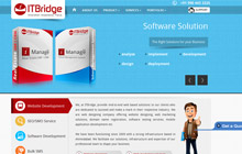 IT Company Website